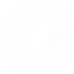 twitter_icon